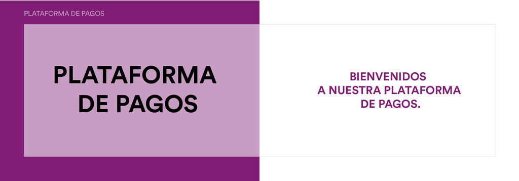 plataforma de pagos acceso colombia