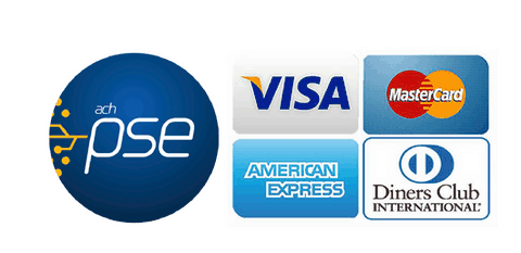 pagos pse acceso colombia
